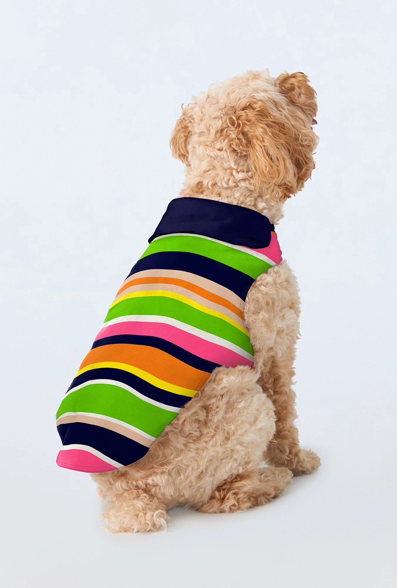 BedHead x Trina Turk Poolside Stripe Cotton Jersey Lined Woven Cotton Poplin Dog Pajama