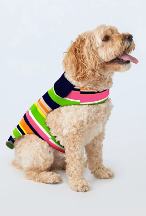 BedHead x Trina Turk Poolside Stripe Cotton Jersey Lined Woven Cotton Poplin Dog Pajama