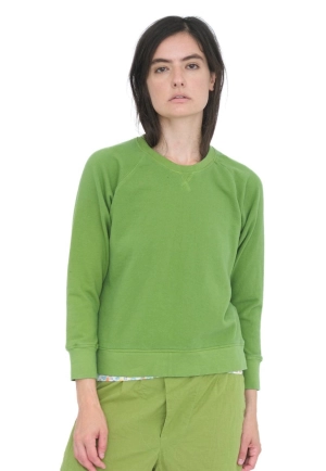 Crewneck Sweatshirt, Spring Onion