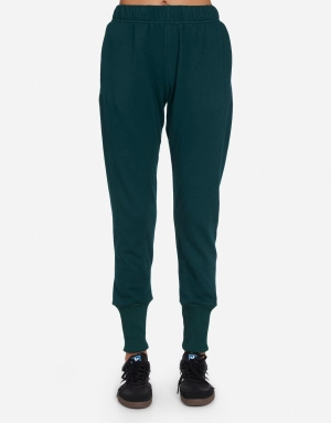 Ericson Evergreen
