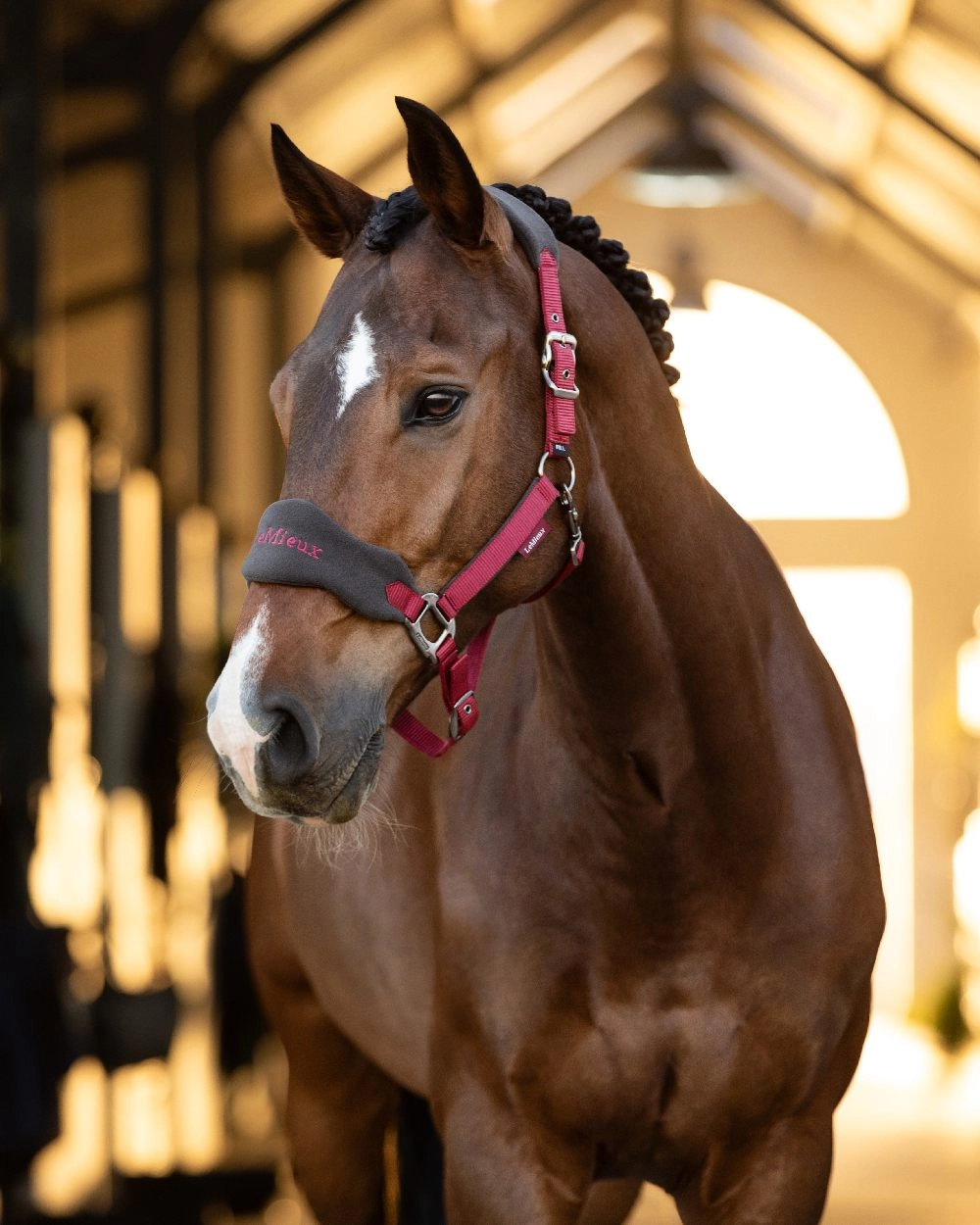 LeMieux Vogue Headcollar & Leadrope