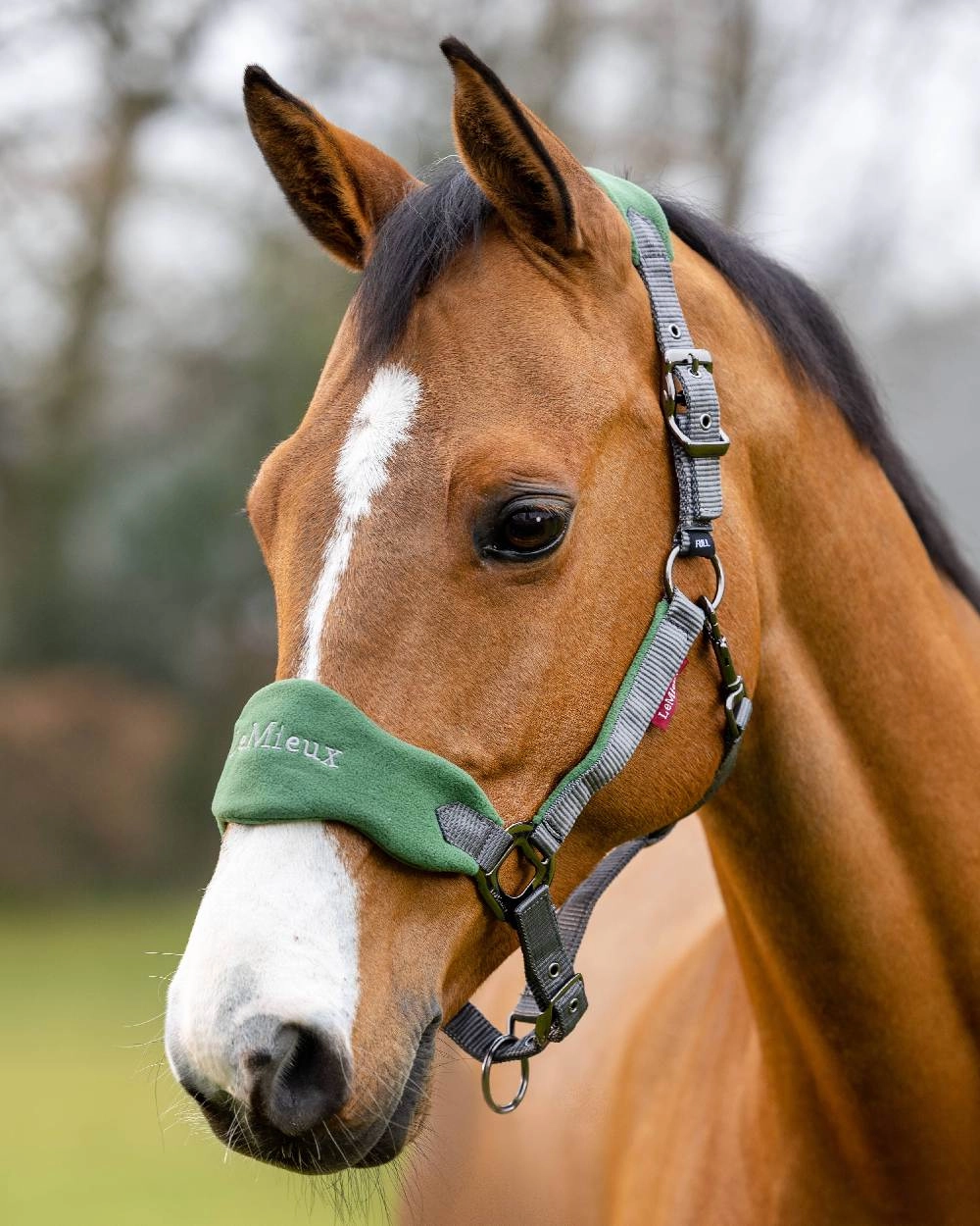 LeMieux Vogue Headcollar & Leadrope