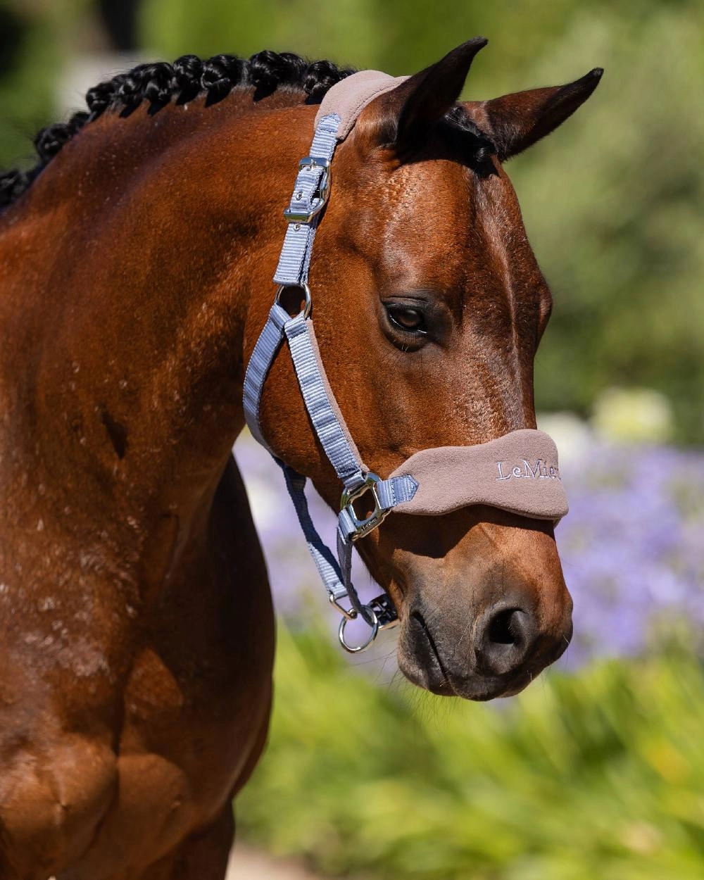 LeMieux Vogue Headcollar & Leadrope