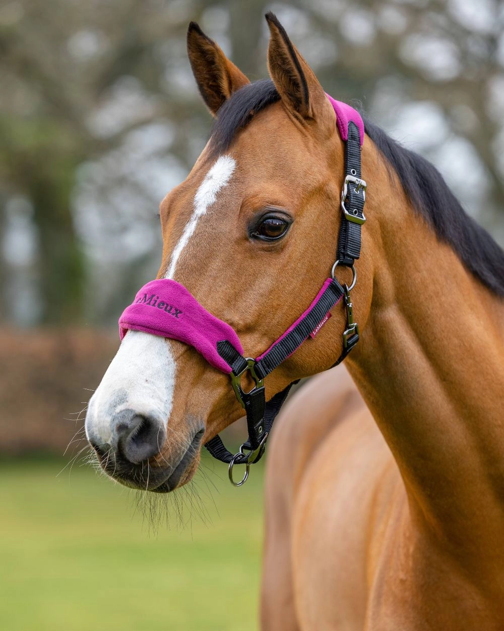 LeMieux Vogue Headcollar & Leadrope