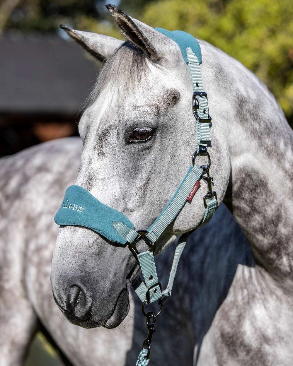 LeMieux Vogue Headcollar & Leadrope
