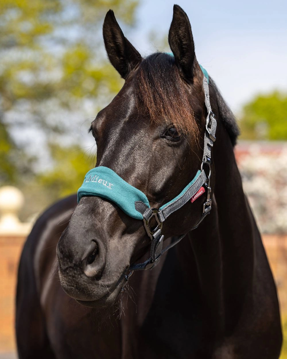 LeMieux Vogue Headcollar & Leadrope