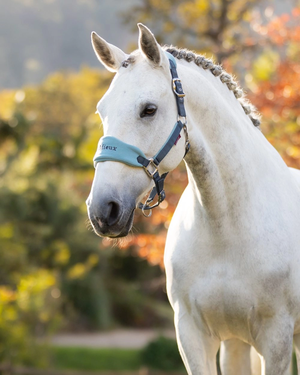 LeMieux Vogue Headcollar & Leadrope