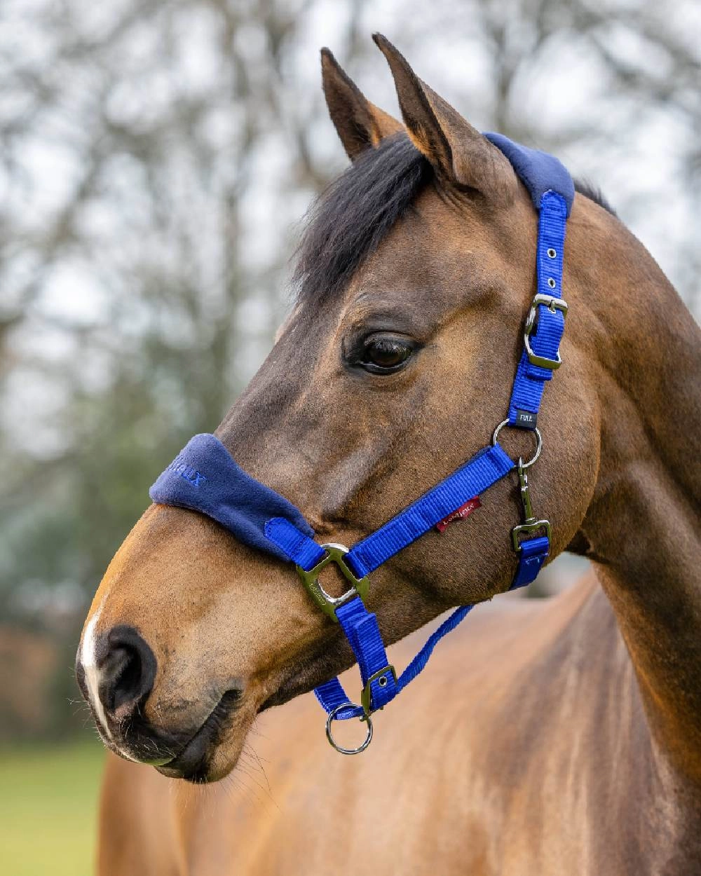 LeMieux Vogue Headcollar & Leadrope