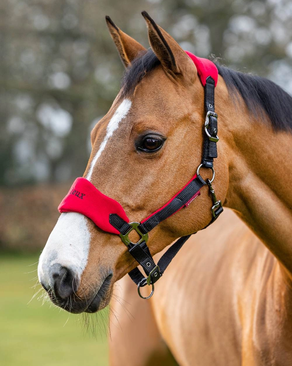 LeMieux Vogue Headcollar & Leadrope
