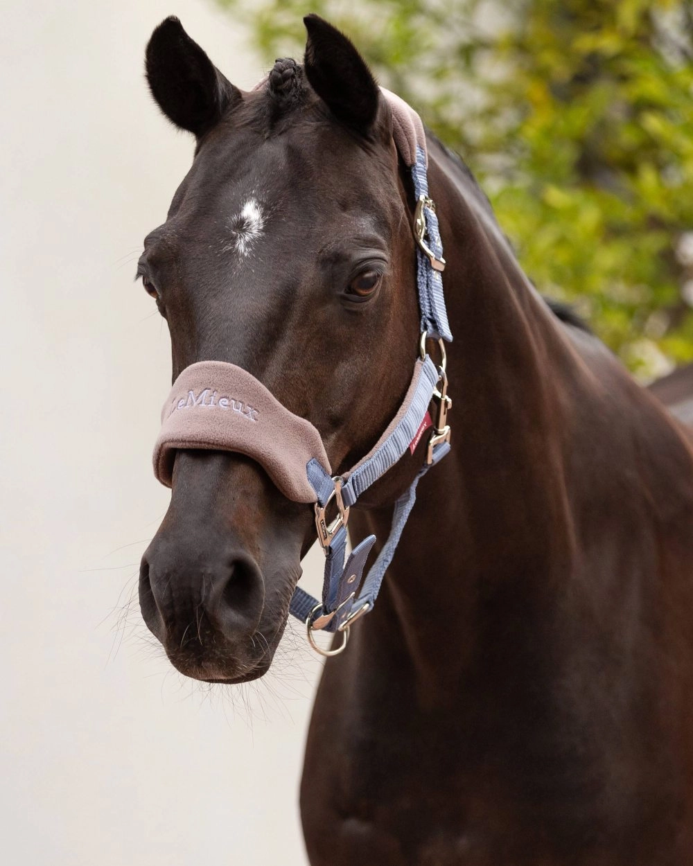 LeMieux Vogue Headcollar & Leadrope