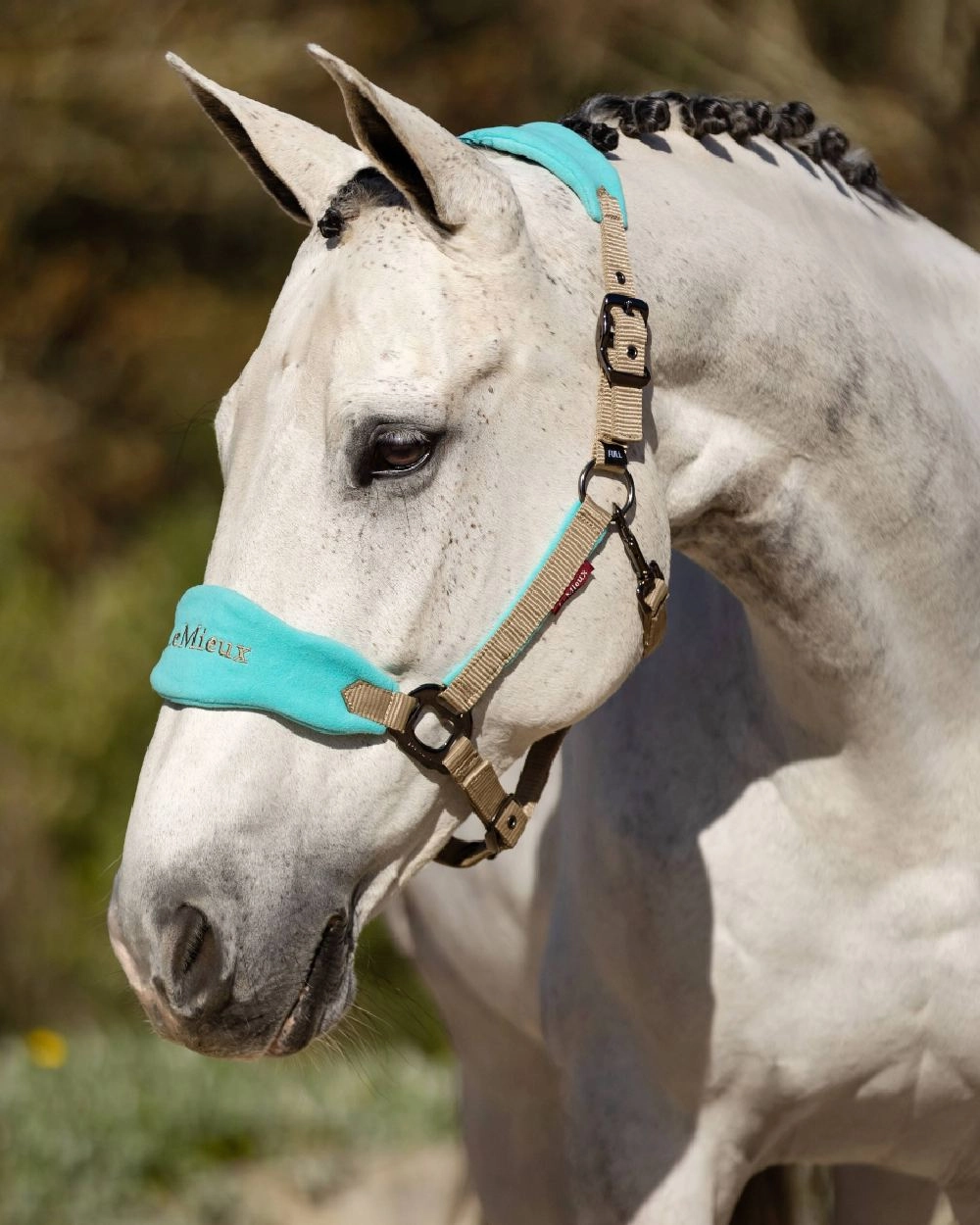 LeMieux Vogue Headcollar & Leadrope
