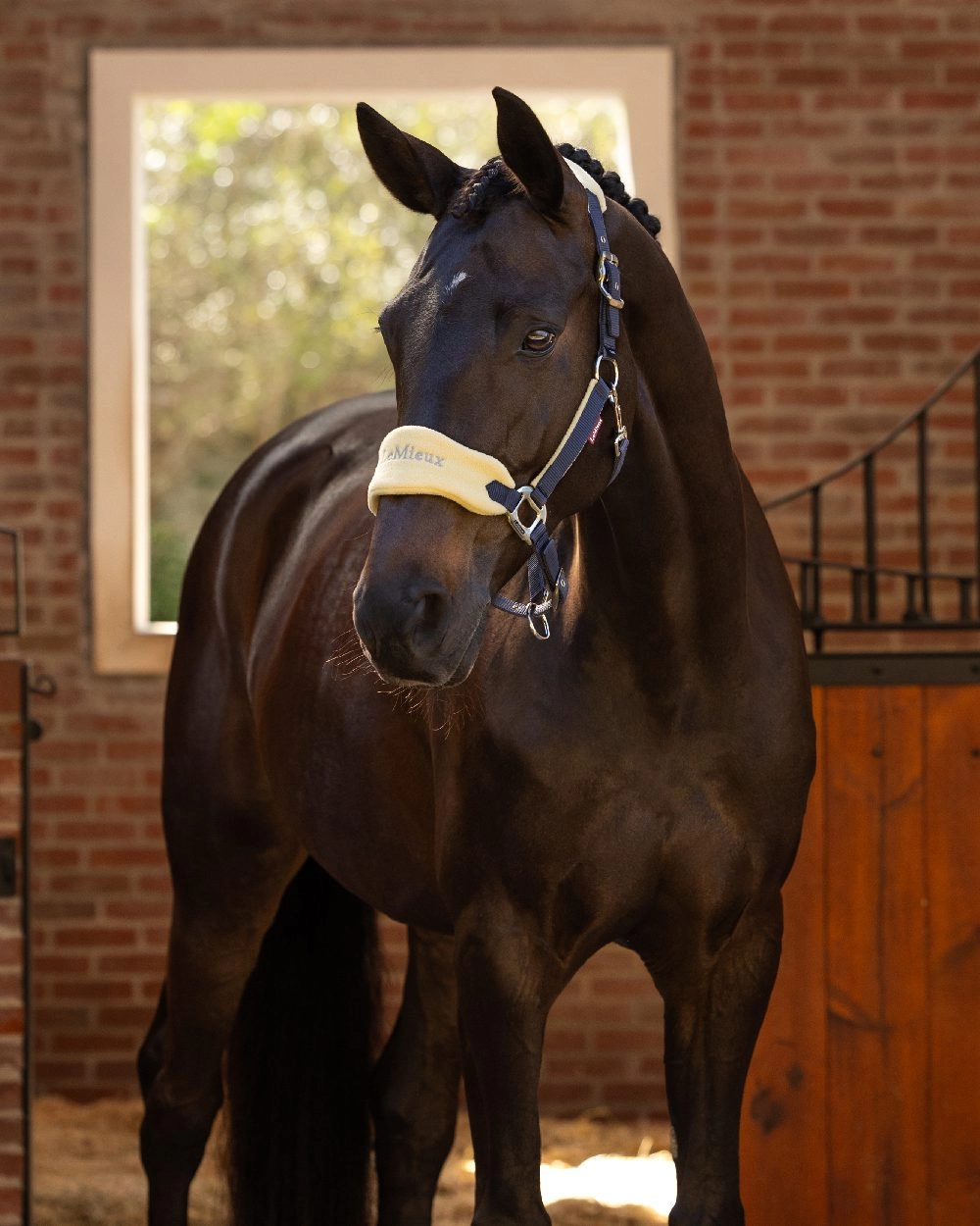 LeMieux Vogue Headcollar & Leadrope