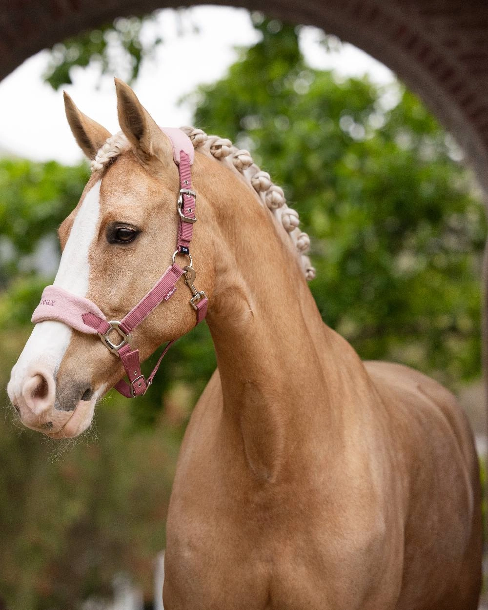 LeMieux Vogue Headcollar & Leadrope
