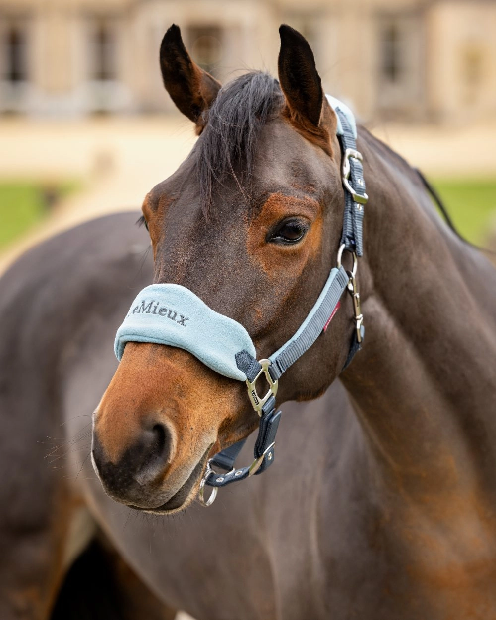 LeMieux Vogue Headcollar & Leadrope