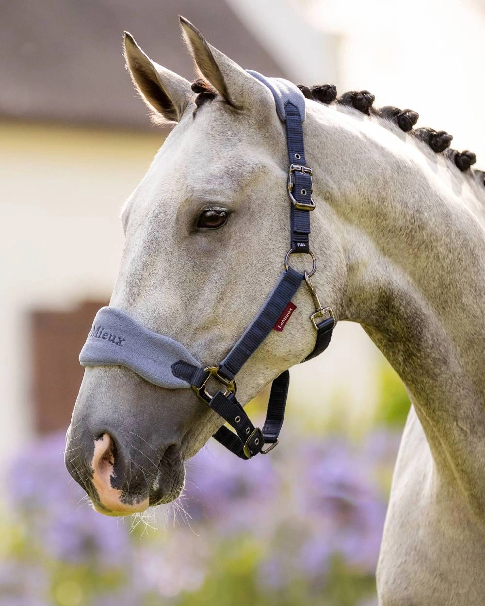 LeMieux Vogue Headcollar & Leadrope