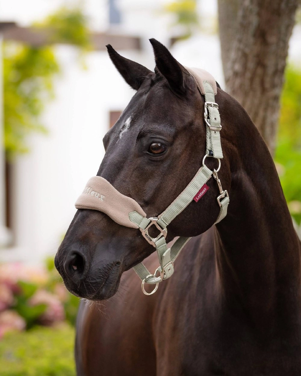 LeMieux Vogue Headcollar & Leadrope
