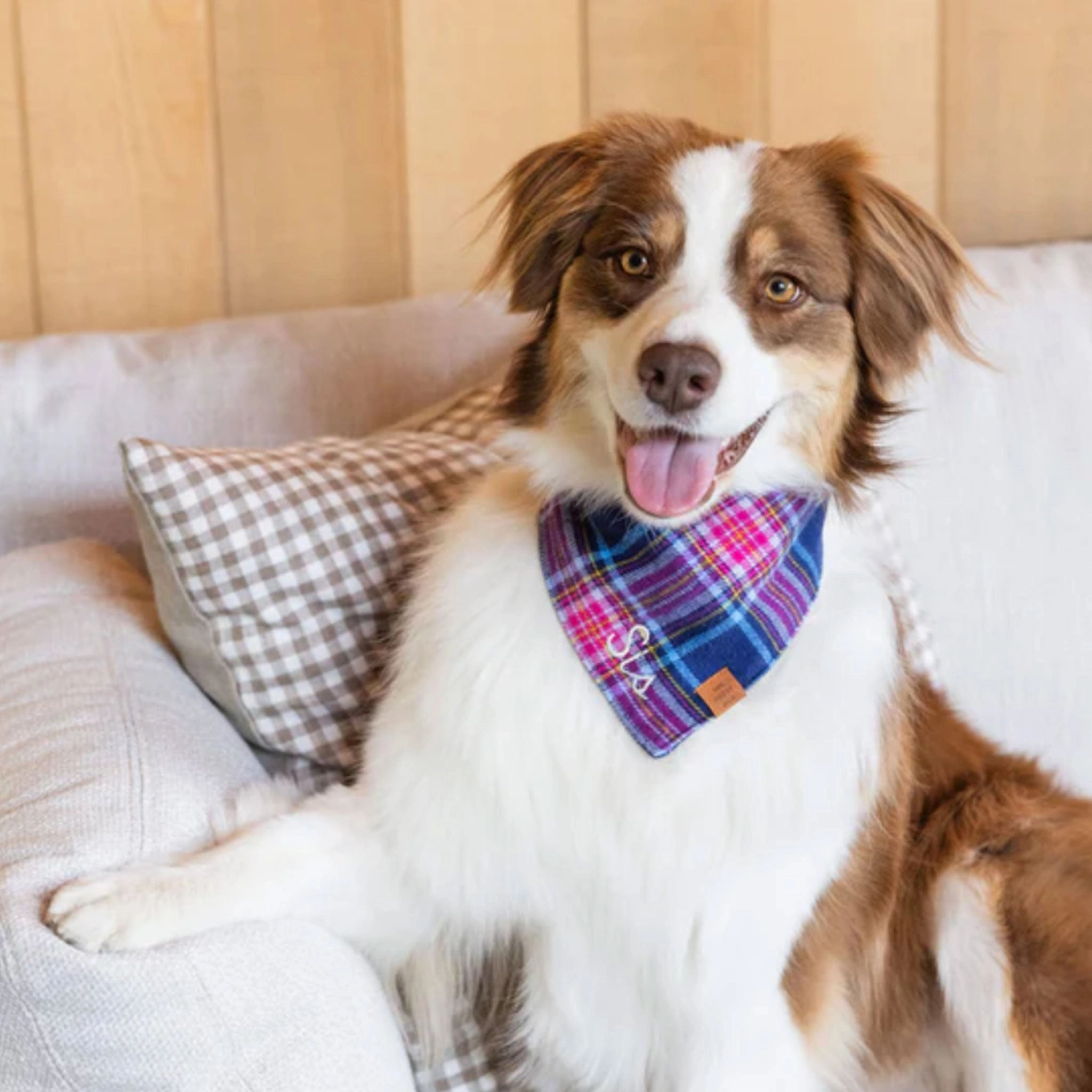 The Foggy Dog Bandana - Camilla Plaid