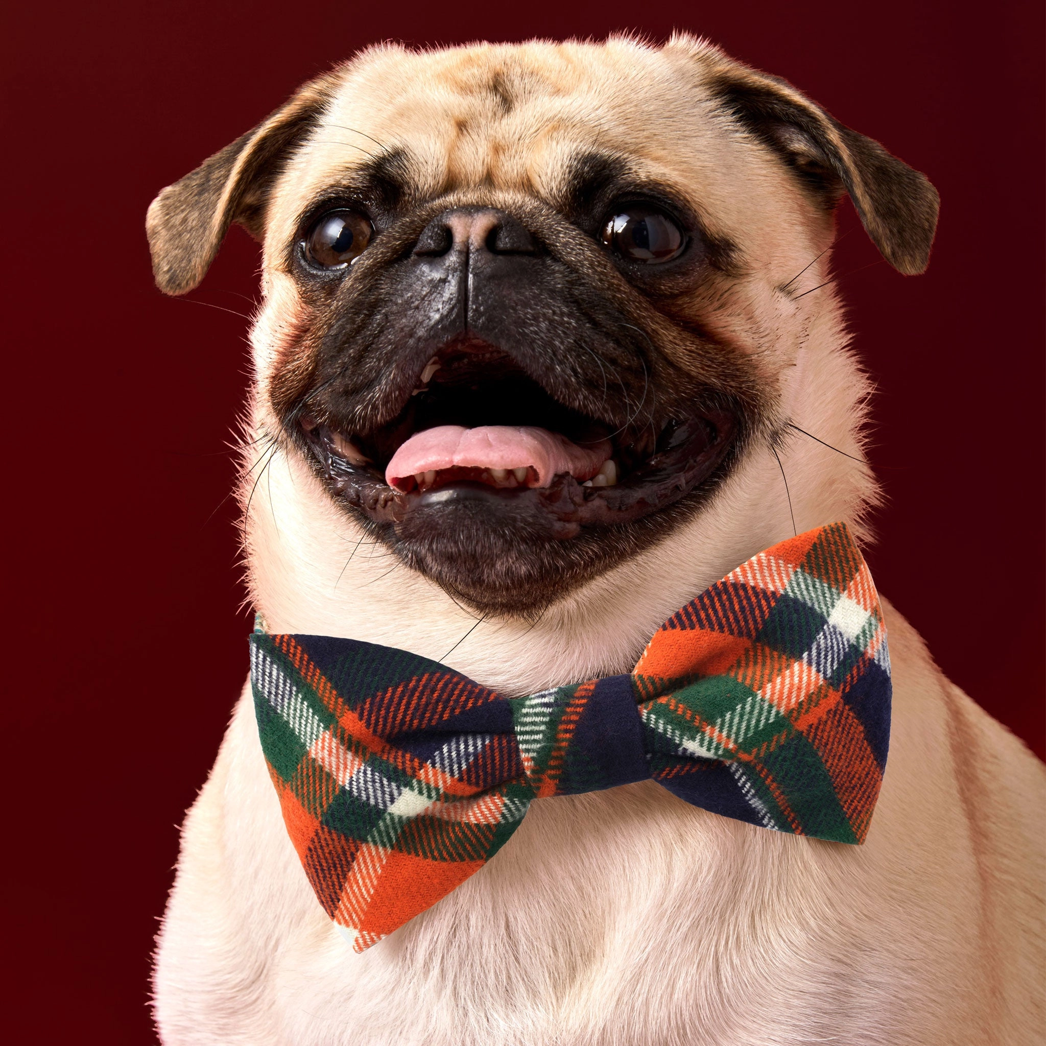 The Foggy Dog Bowtie - Dakota Plaid Flannel